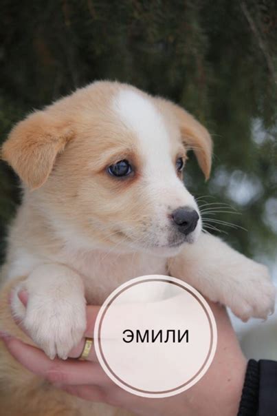 #Сергиев_Посад Друзья, вы только посмотрите какой красоты дети есть ...