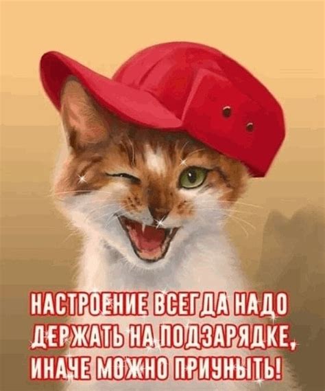 Верно | С Днем Рождения Открытки Поздравления на День | ВКонтакте