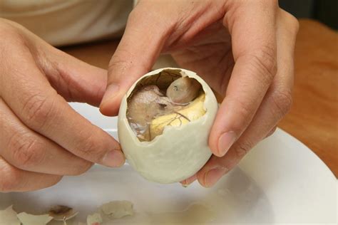 how to cook balut eggs