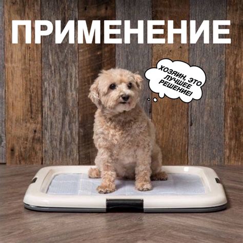 Одноразовые пеленки для животных 60*90 см, впитывающая пеленка-туалет ...