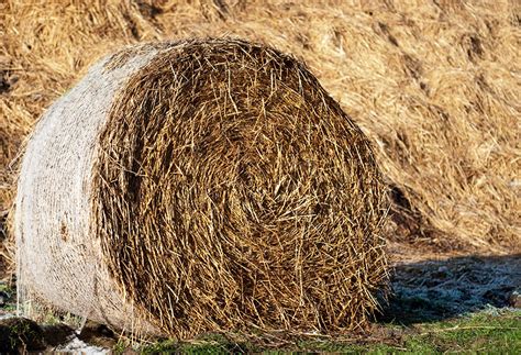 Halm blir bioetanol - Anläggningsvärlden