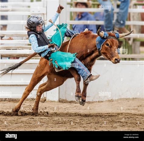 Young cowgirl riding a small bull in the Junior Steer Riding ...