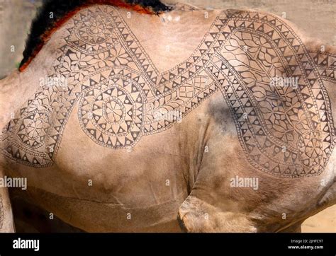 Camel skin carving hi-res stock photography and images - Alamy