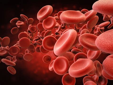 Microcitose O Que Significa - Microcitose: o que é e as principais causas - Mais Saúde