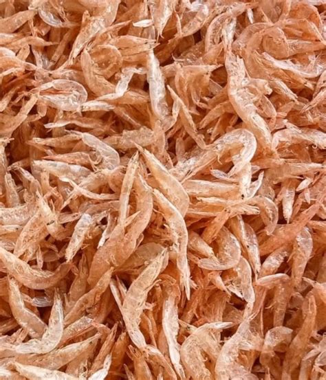 Jenis Udang Yang Orang Malaysia Sering Guna, Senang Nak Kenal!