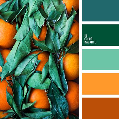 апельсиновый цвет | IN COLOR BALANCE