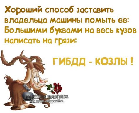 Приколи - картинки, відео приколи, смішні історії та анекдоти