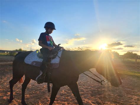 Horseback Riding Lessons for Kids • RUN WILD MY CHILD