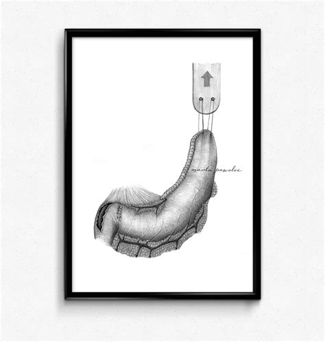 MEDICAL ILLUSTRATIONS #1 :: Behance