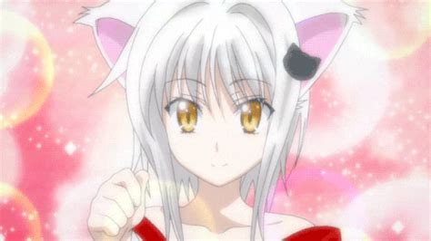 Nekomimi in Anime: Top 10 Anime Cat Girls - MyAnimeList.net