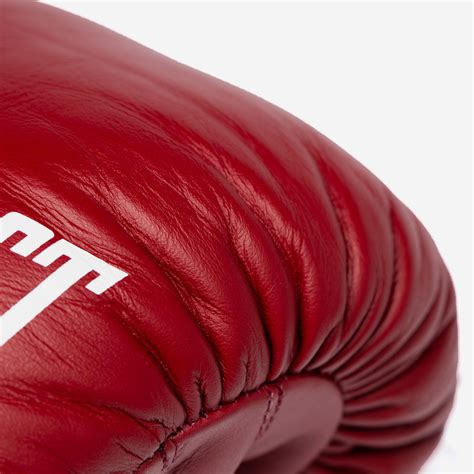 MX Fight Glove | Everlast