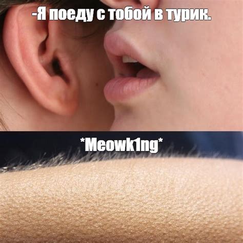 Meme: "-Я поеду с тобой в турик. *Meowk1ng*" - All Templates - Meme ...