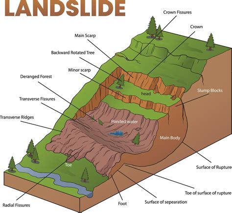 cross section illustration  landslide diagram  vector art