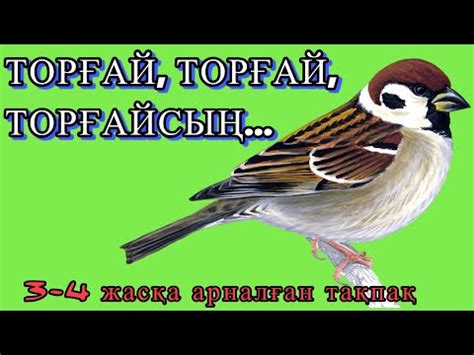 ТОРҒАЙ ТОРҒАЙ ТОРҒАЙСЫҢ - YouTube