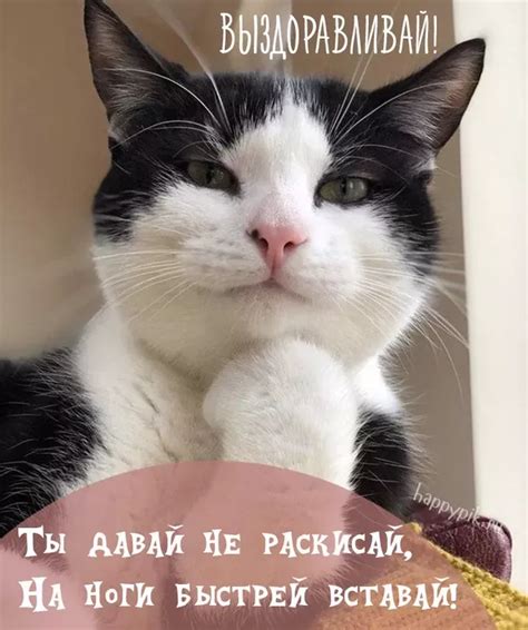 Картинки Выздоравливай. Открытки-пожелания для скорого выздоровления ...