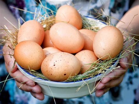 Сколько весит яйцо куриное, страусиное и перепелиное. Вес желтка и ...
