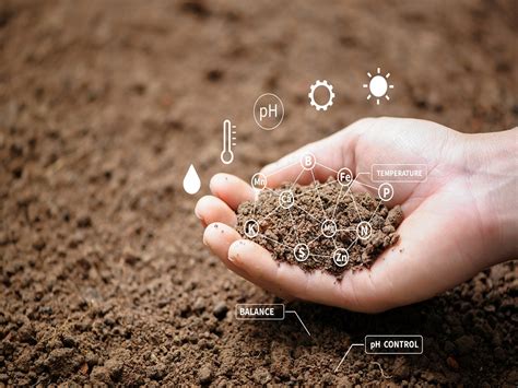 A Must See For New Farmers! Introduction To Soil Moisture Monitoring