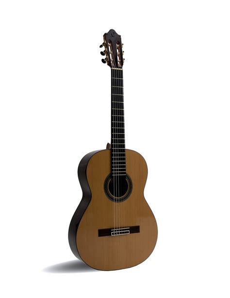 Vendita - Classical Guitars Mauro Giuliani