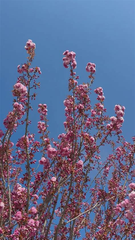 Broken+Latina+Whores+Full+4k Videos, Download The BEST Free 4k Stock