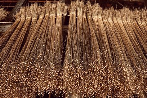 Six Super Benefits of Flaxseeds – GinnyBrant.com