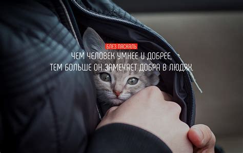 Цитаты о человеке