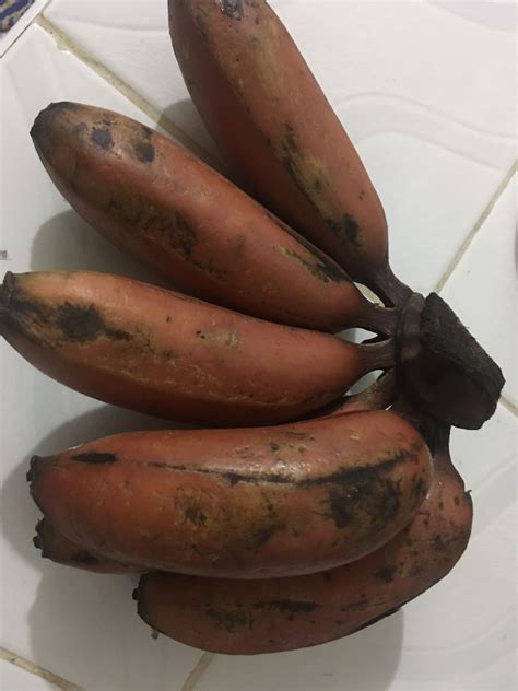 Pin by Johnny Ray on Alkaline Diet | Alkaline diet, Vegetables, Fruit