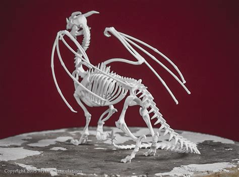 Mythic Articulations | Dragon skeleton. It’s like a wyvern, but with ...