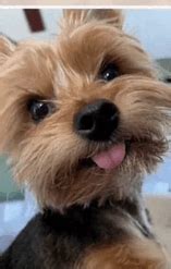 Hows It Going GIF - Hows it going - Discover & Share GIFs
