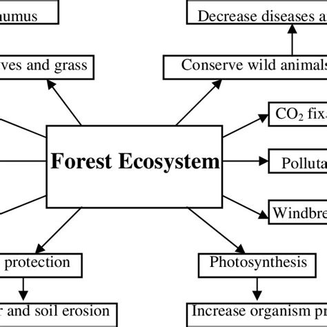 Diagram Indicating the Ecological Benefits of Forest Ecosystem ...