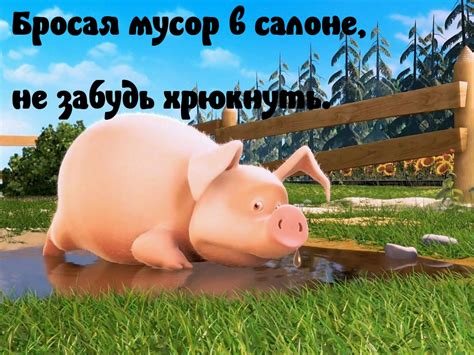 Картинки с надписями. Не бросайте мусор!.