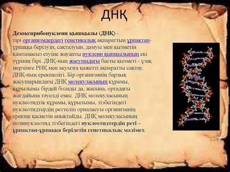 Ч. Дарвин – эволюциялық теорияның негізін салушы - презентация онлайн