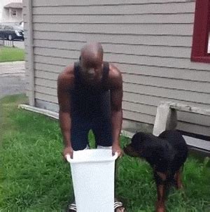 Fail Ice Bucket Challenge GIF - Find & Share on GIPHY