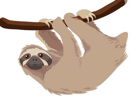Sloth - PNG image with transparent background | Free Png Images