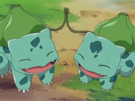 Personality & Development: Ash's Bulbasaur - Bulbanews