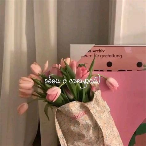 обои с сакурай🌸 | Archiv