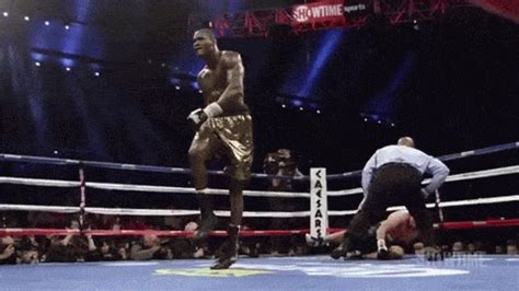 Boxing GIFs - Get the best GIF on GIPHY