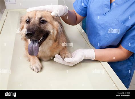 front view photography stock photo alamy
