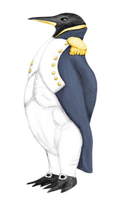 Emperor Penguin Drawing at GetDrawings | Free download
