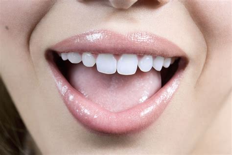 ¿Las palabras 'oral' y 'verbal' significan lo mismo?