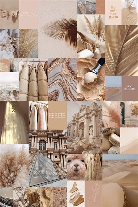 beige aesthetic collage  close   wallpaper
