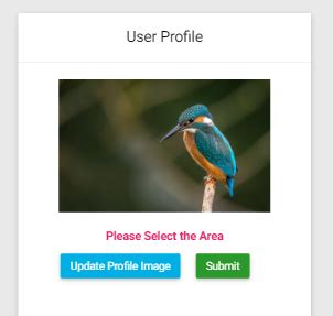 javascript   height  width  image   responsive