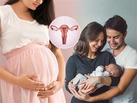 ivf taratamatana utaravayataha mal hauu shakata ka tajajania sagatata ivf