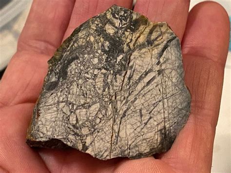 AUBRITE METEORITE ! | Meteorite, Fossils, Meteor