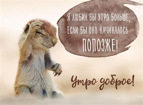 Прикольные и смешные картинки с пожеланием доброго утра. | Доброе утро ...