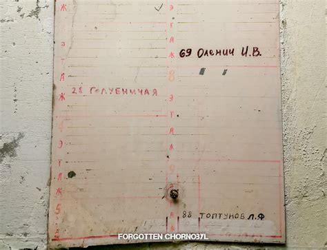 The Life and Heroism of Chernobyl Engineer Leonid Toptunov 28