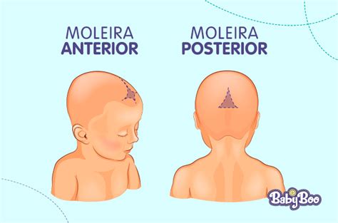 Onde Fica A Moleira Do Bebê - Moleira do bebê - quais cuidados devemos ter? e quando ela fecha?