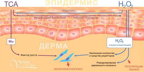 Пілінг PRX - T33 в Києві, омолодження без реабілітації, доступна ціна