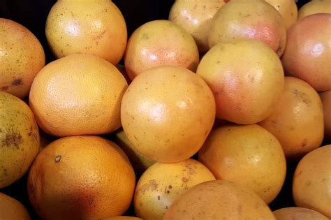 Free Stock Photo of Grapefruits | Download Free Images and Free ...