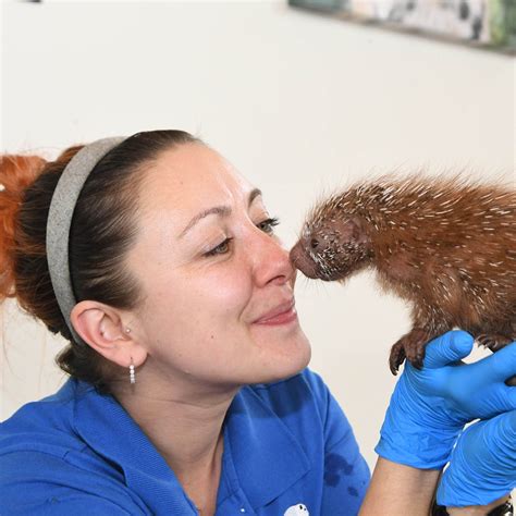 Brookfield Zoo Chicago - Careers at Brookfield Zoo Chicago