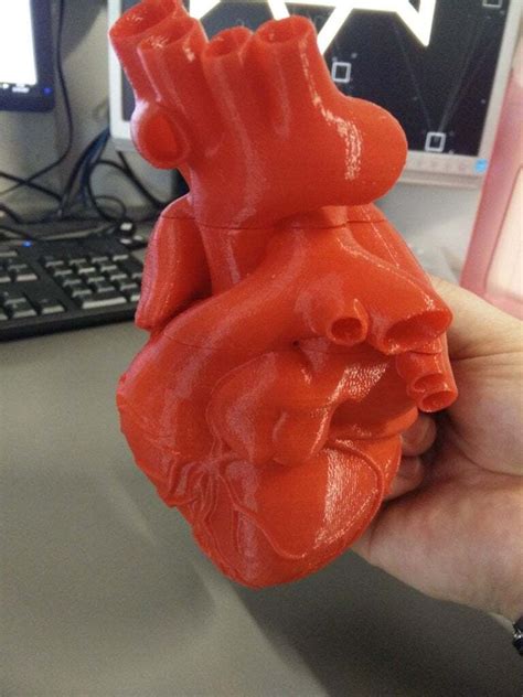 3D print Heart Thirds・Cults